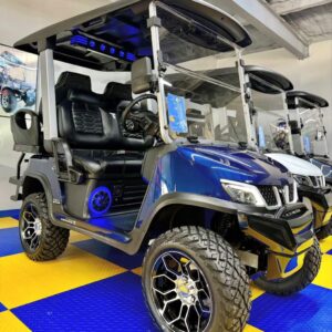 New TARA Series by Evolution Electric Vehicles For Sale